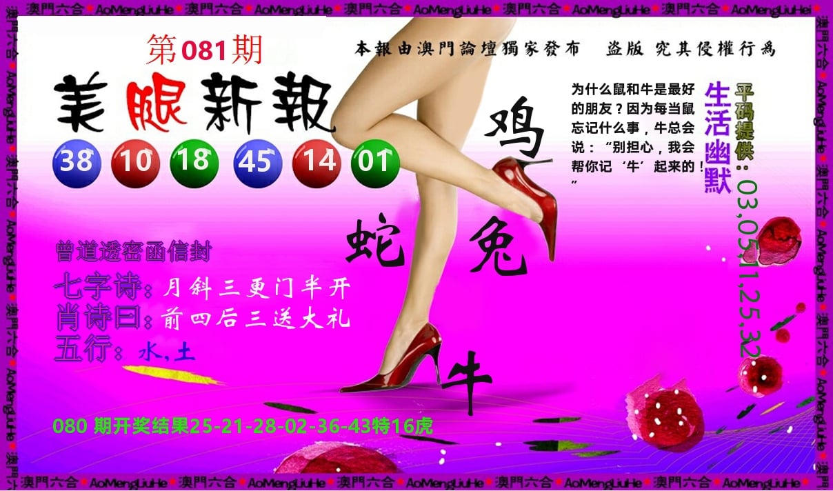 美腿新报 第81期