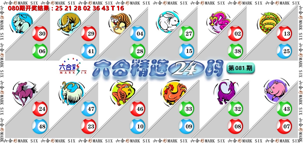 六合精选24码 第81期
