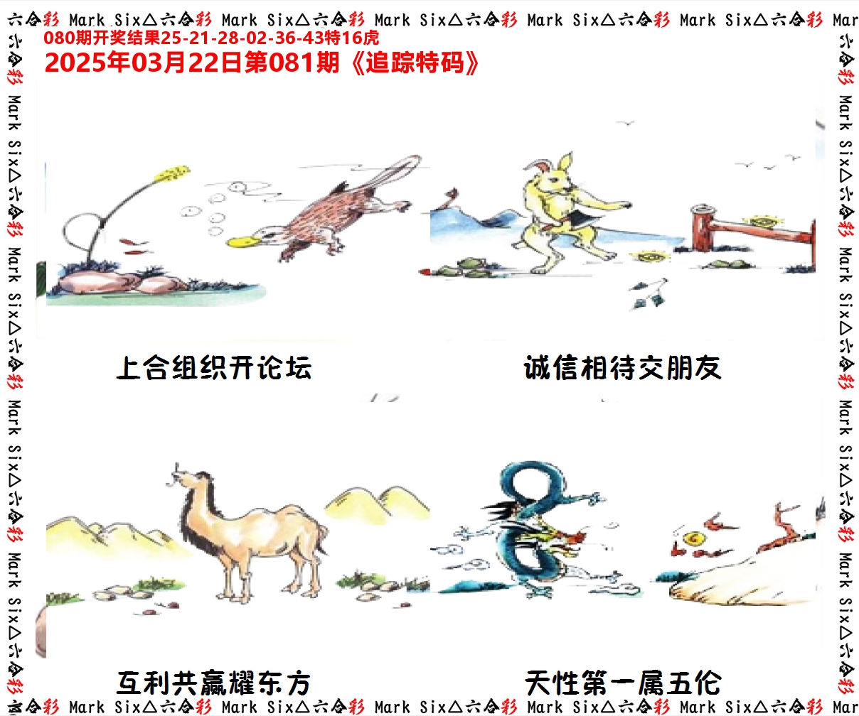 追踪特码 第81期