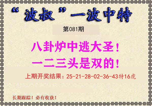 波叔中特 第81期