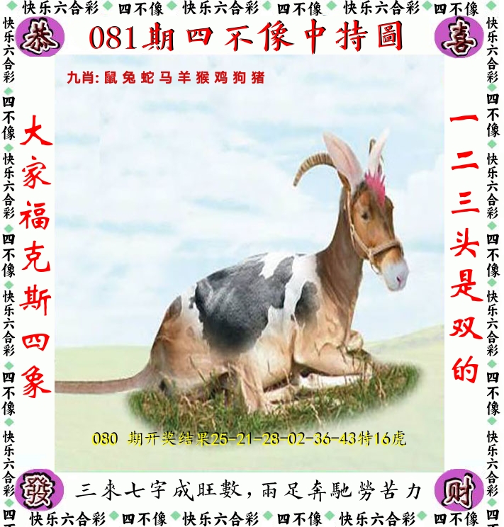 四不像 第81期