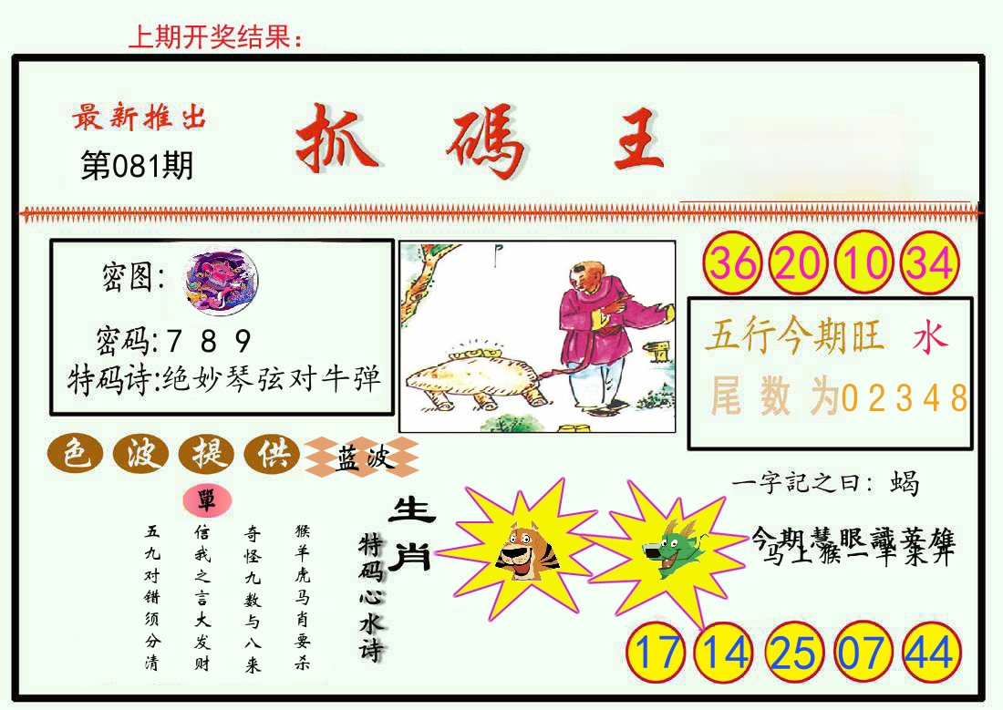 最新抓码王 第81期