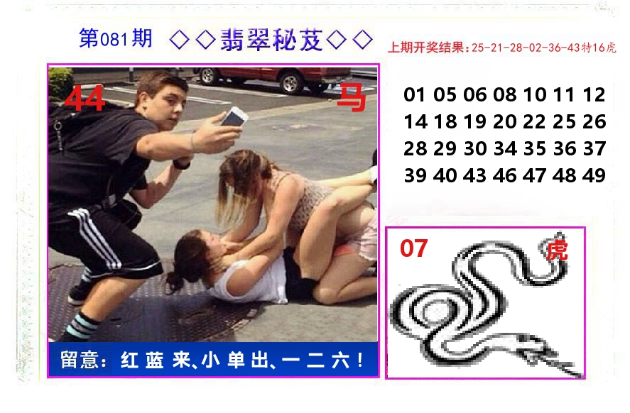 翡翠秘芨 第81期