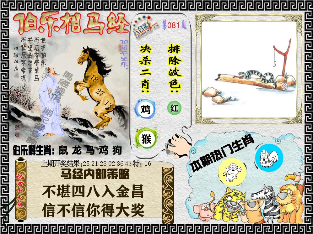 伯乐相马经 第81期