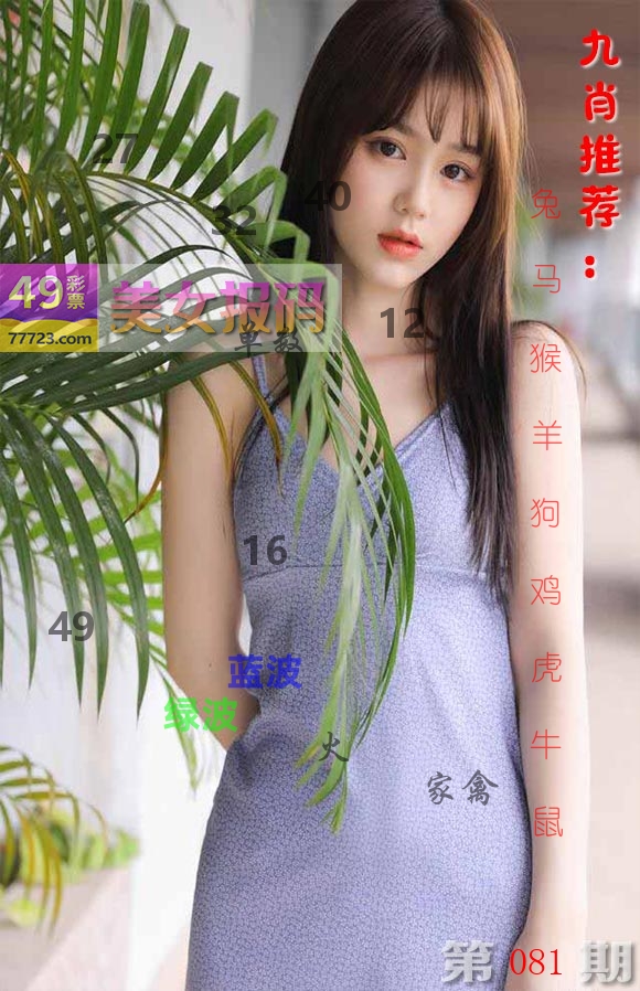 美女报码 第81期