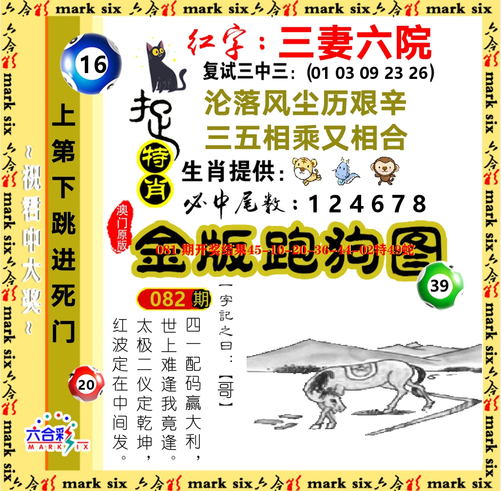 金版跑狗图 第82期