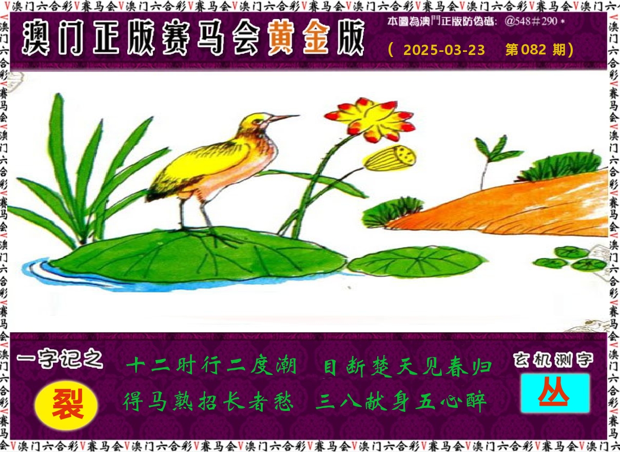 赛马会黄金版 第82期
