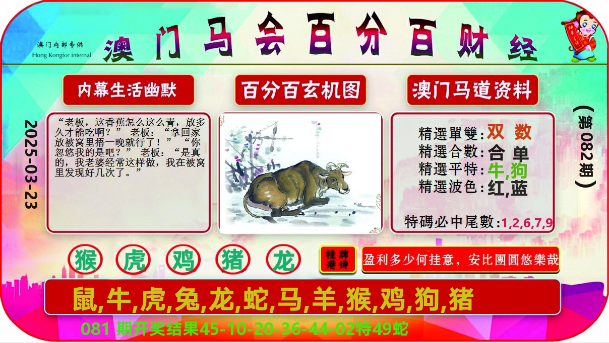 百分百财经 第82期