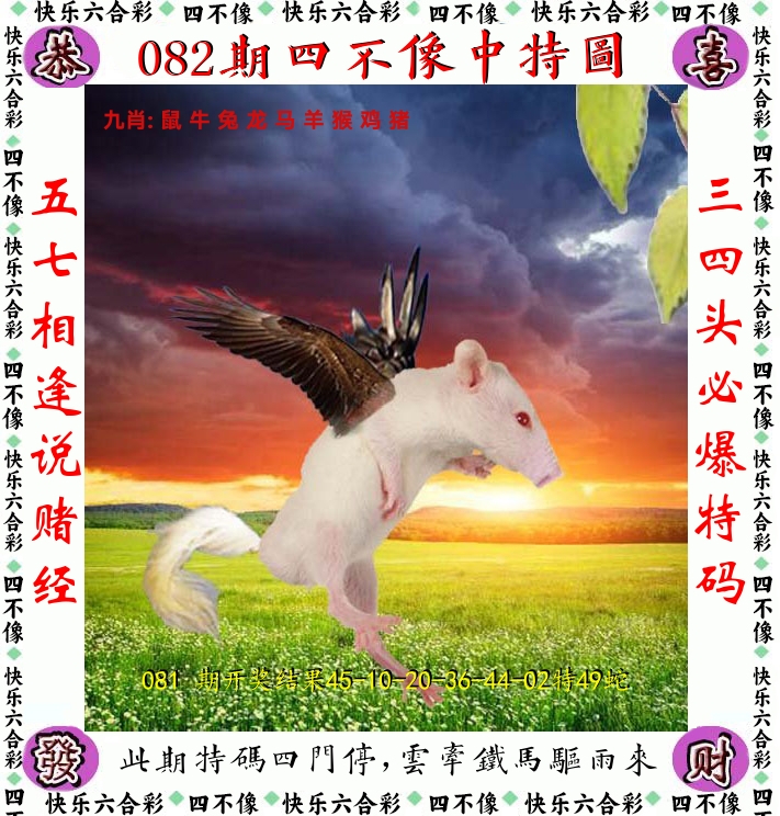 四不像 第82期