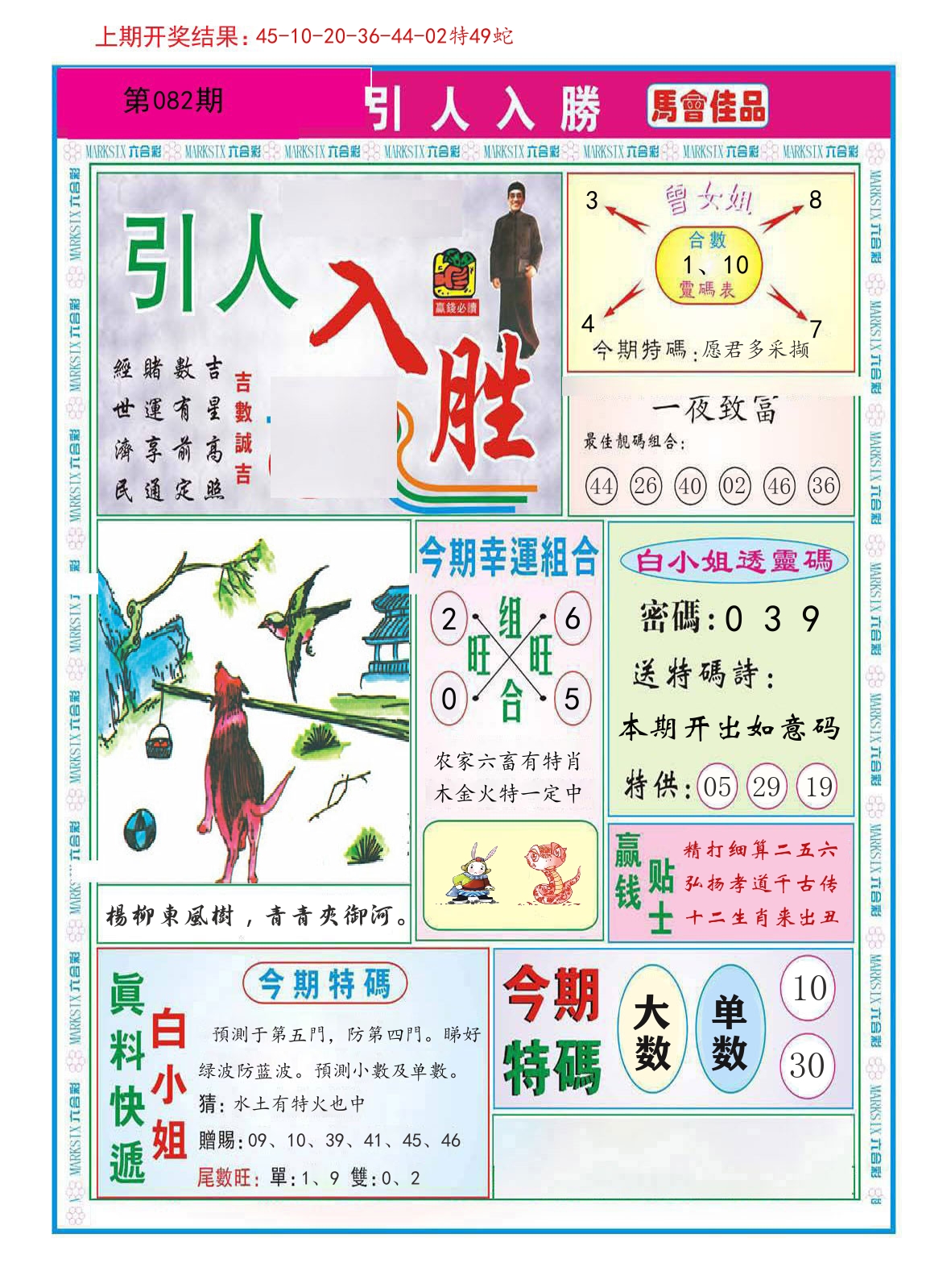 引人入胜 第82期