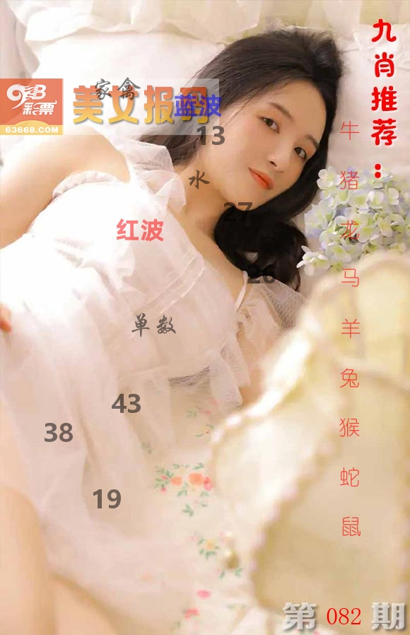 美女报码 第82期