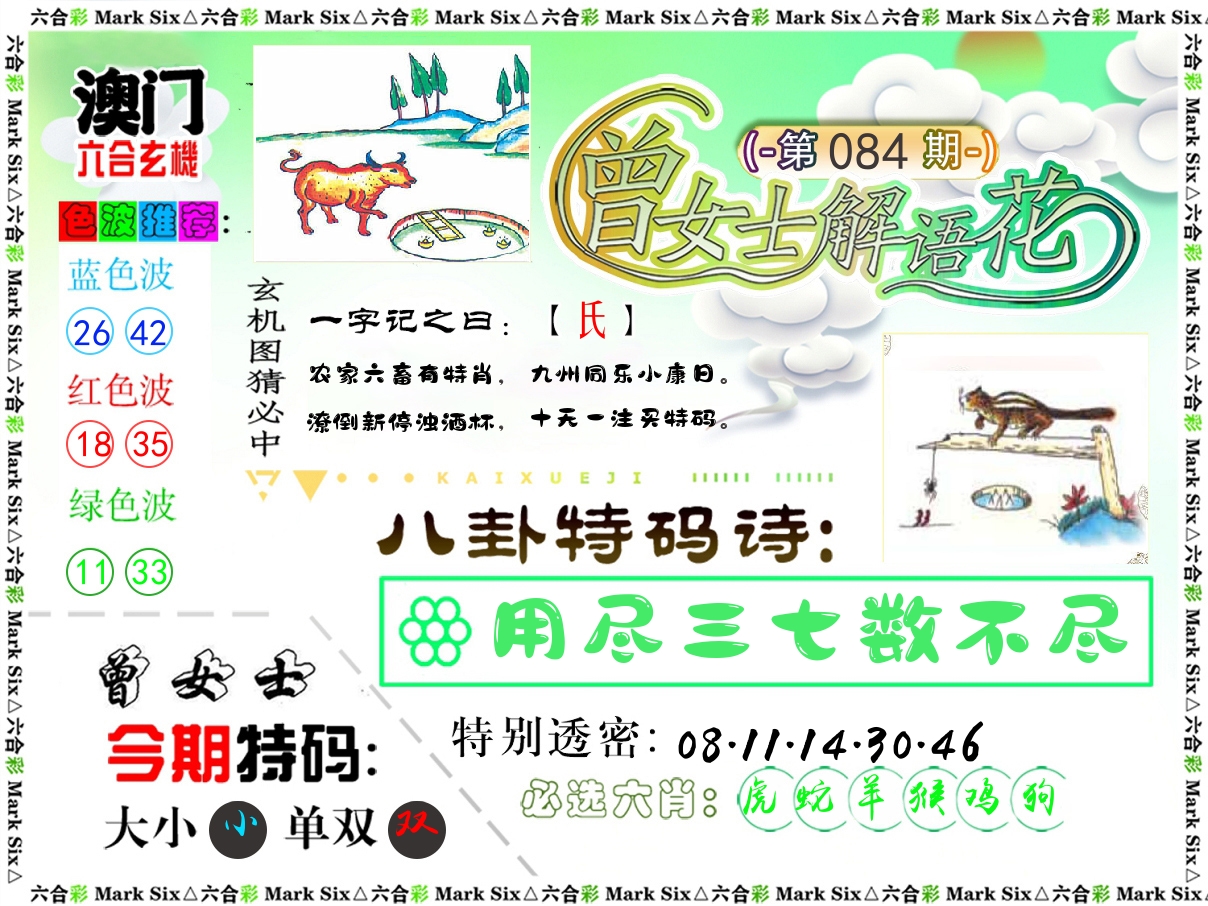 曾女士解语花 第84期