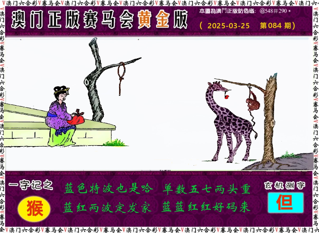 赛马会黄金版 第84期