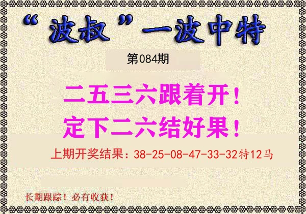 波叔中特 第84期