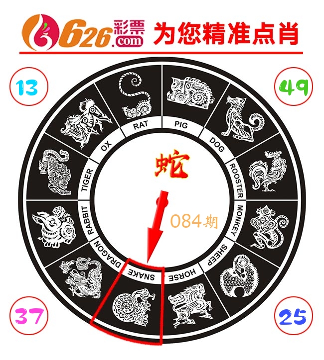 精准点肖 第84期