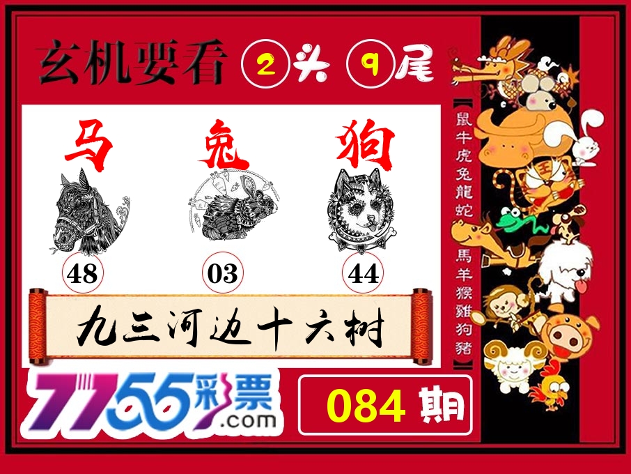 玄机要看 第84期