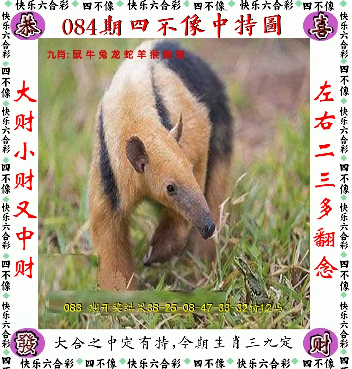 四不像 第84期