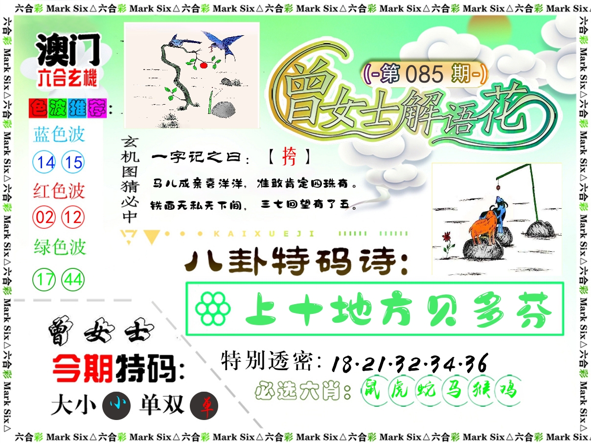 曾女士解语花 第85期