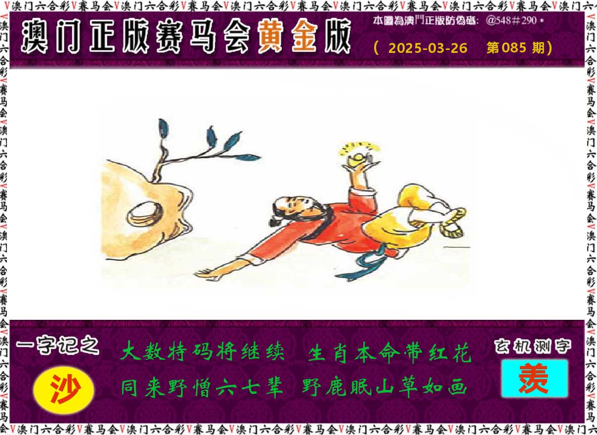 赛马会黄金版 第85期