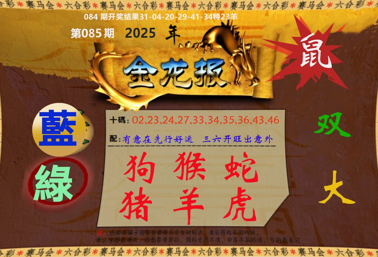 金龙报 第85期