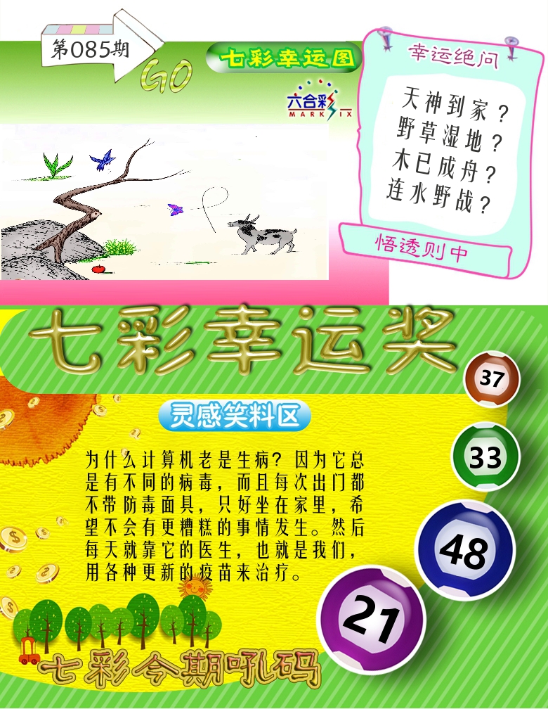 七彩幸运奖 第85期