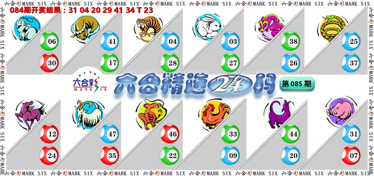 六合精选24码 第85期
