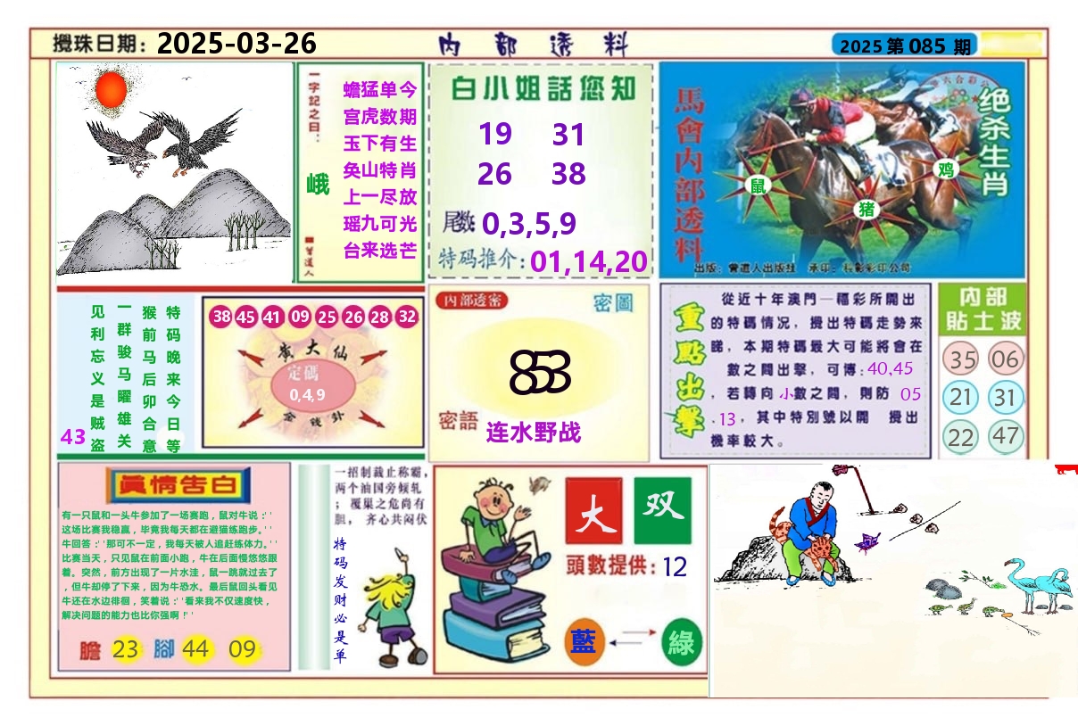 澳门内部透料A 第85期