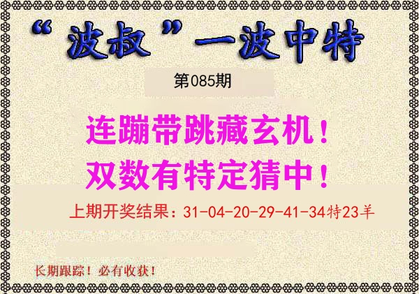 波叔中特 第85期