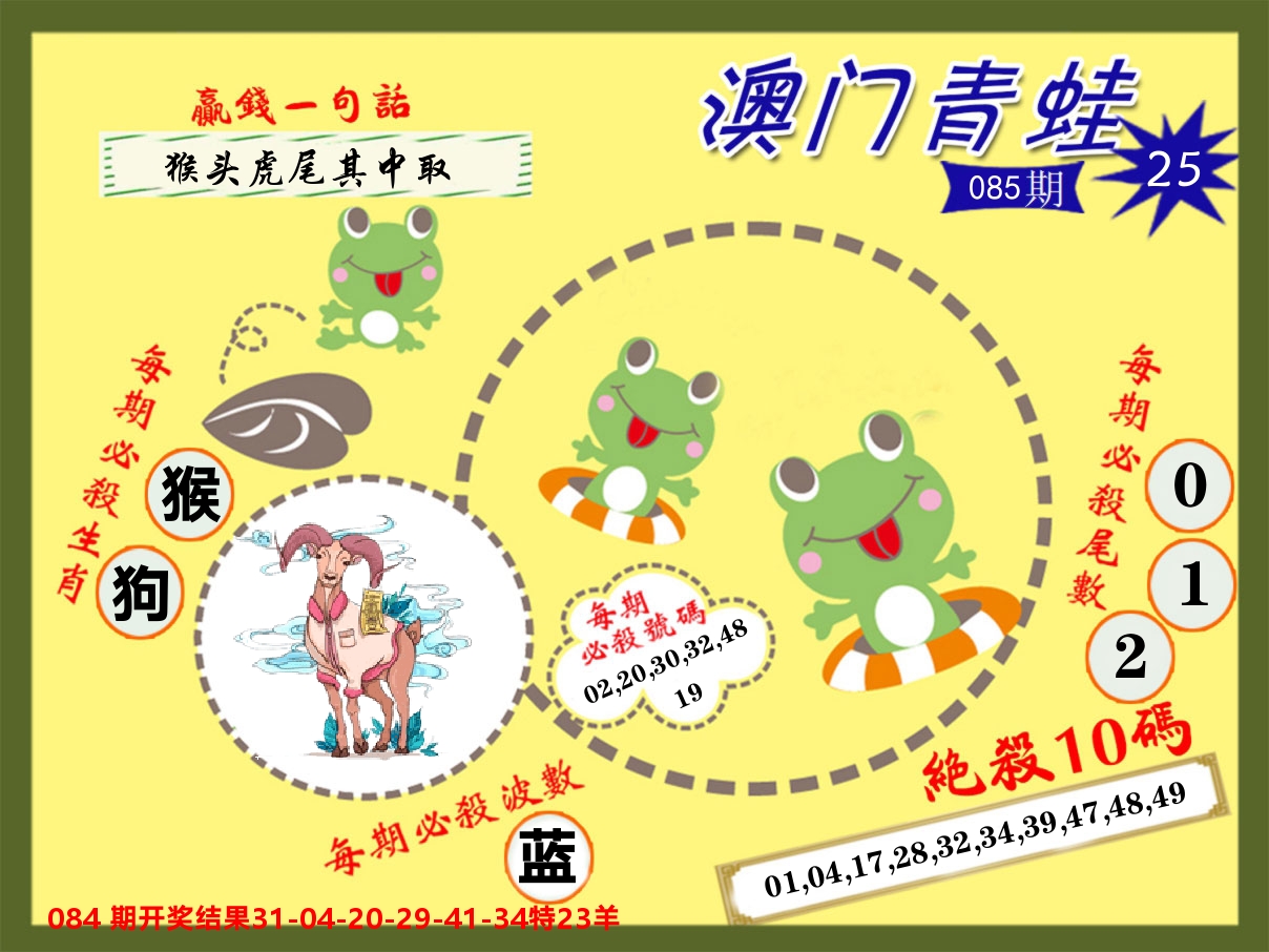 青蛙系列25 第85期