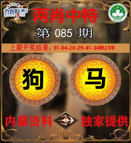 两肖中特 第85期
