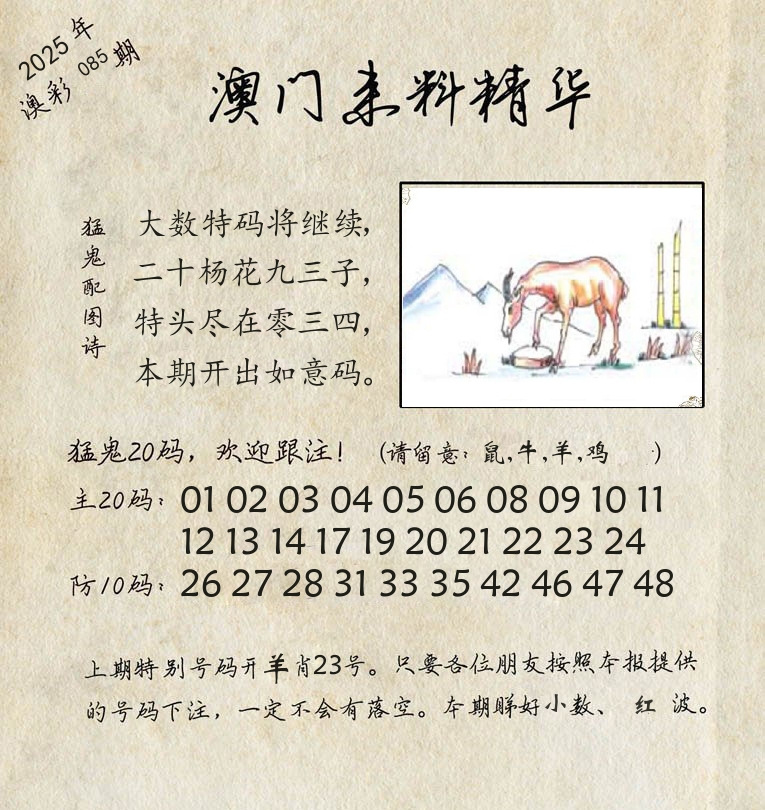 精华来料 第85期