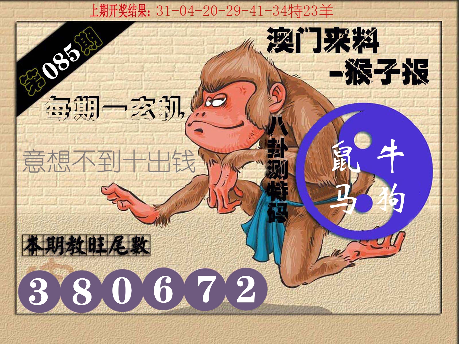 猴子报 第85期