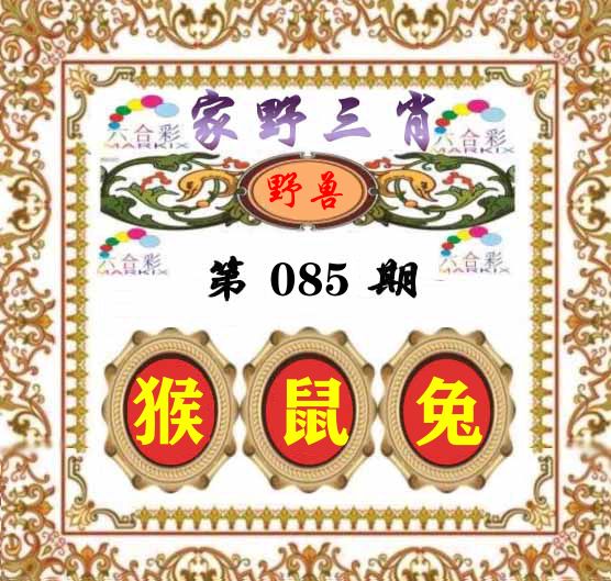 家野三肖 第85期