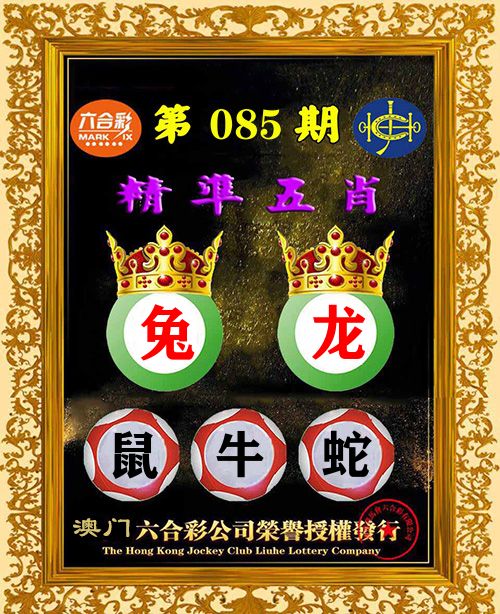 精准五肖 第85期