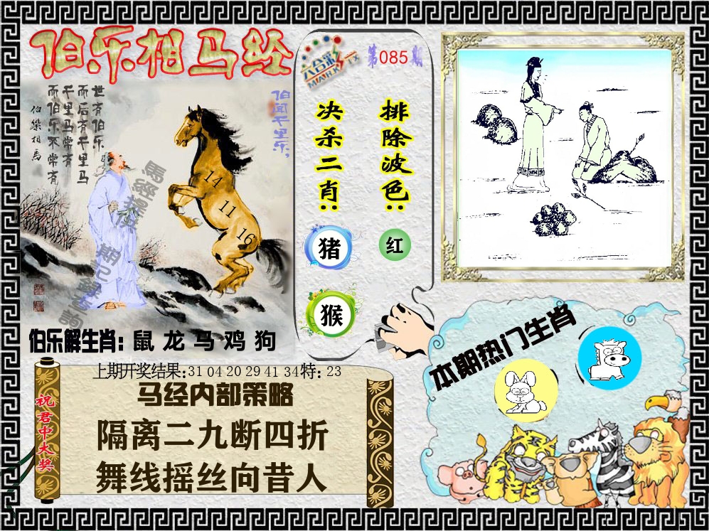 伯乐相马经 第85期