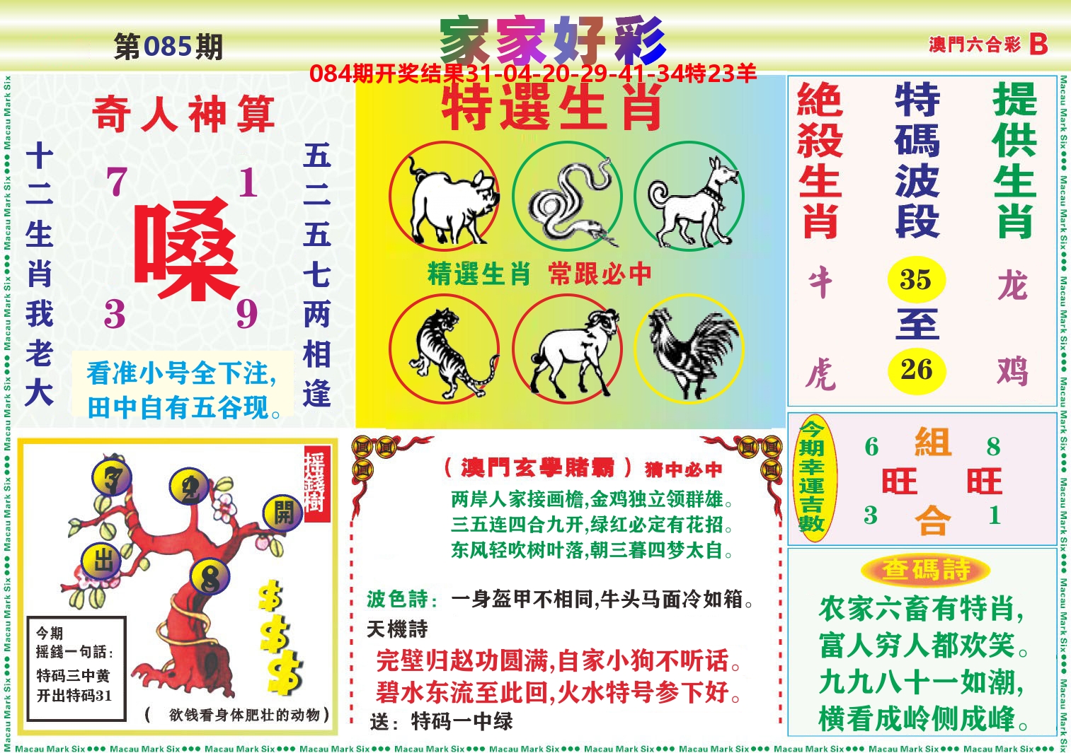 家家好彩B 第85期