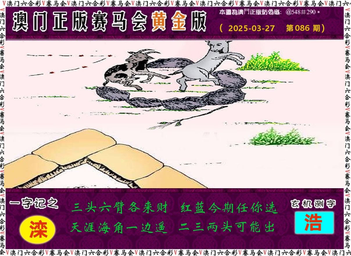 赛马会黄金版 第86期
