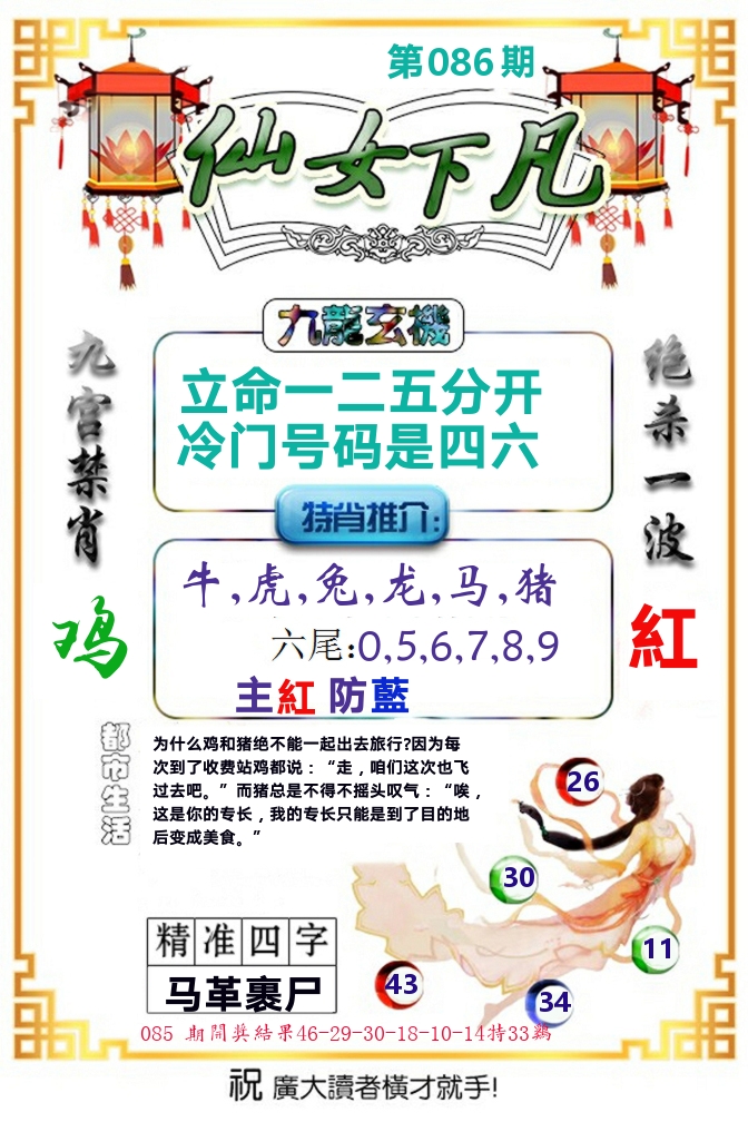 仙女下凡 第86期