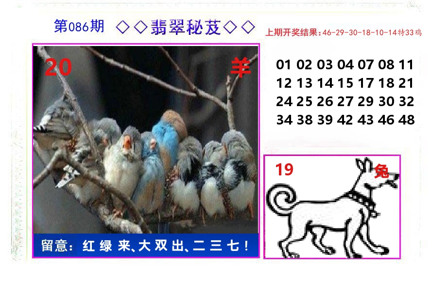 翡翠秘芨 第86期