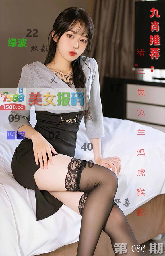 美女报码 第86期