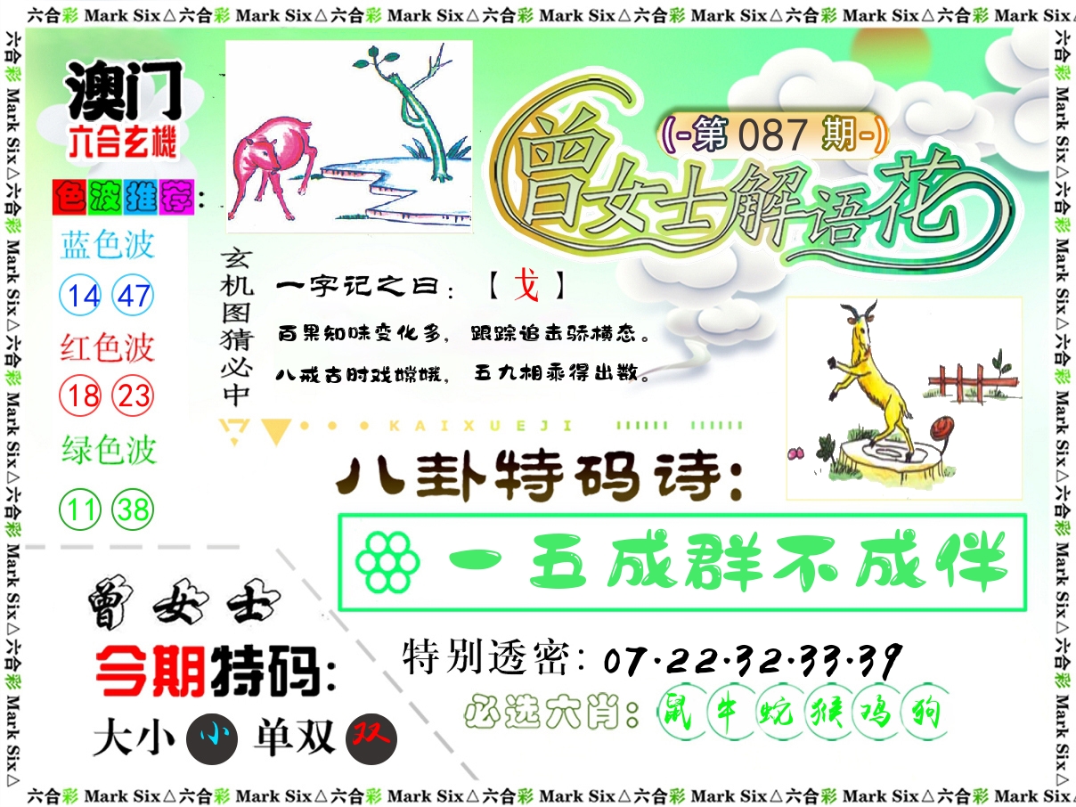 曾女士解语花 第87期