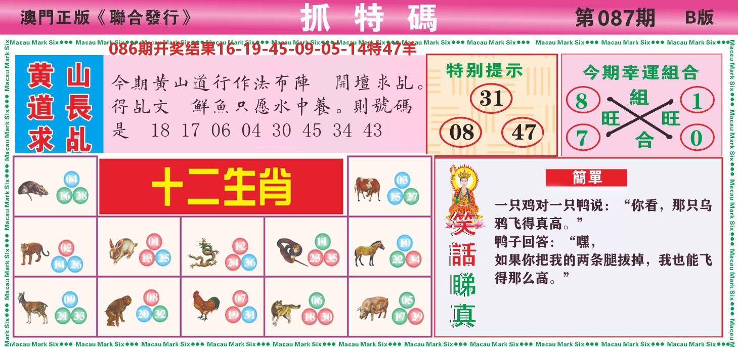澳门抓特码B 第87期