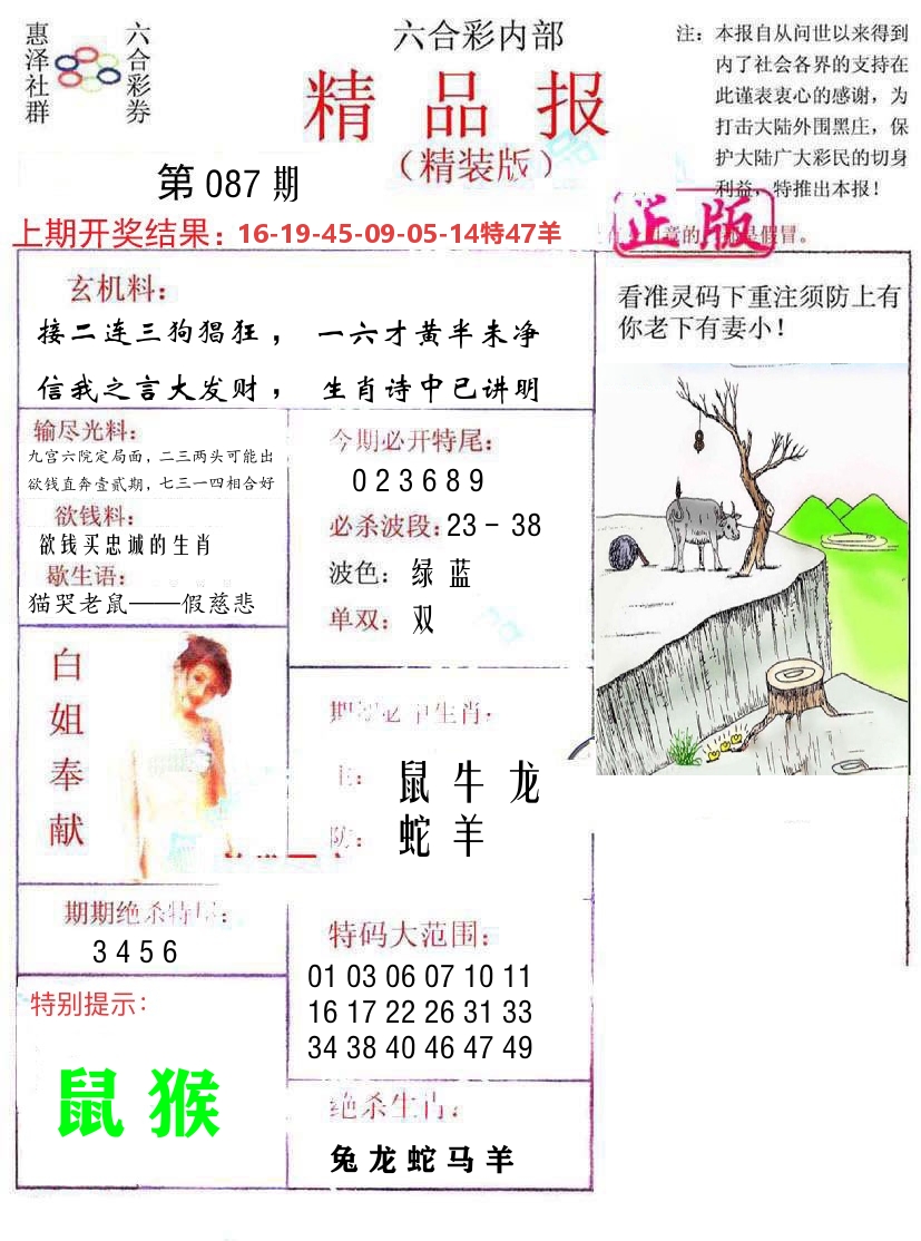 精品报 第87期