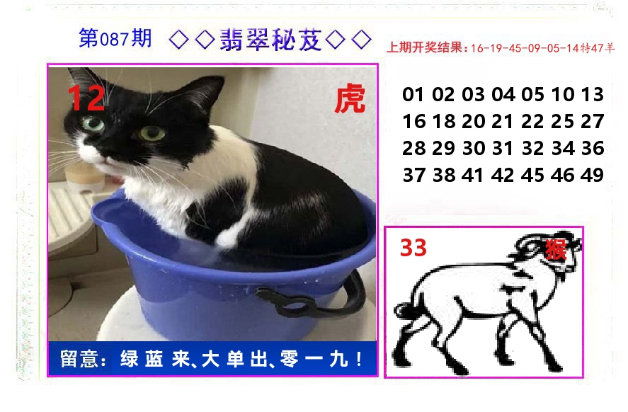 翡翠秘芨 第87期