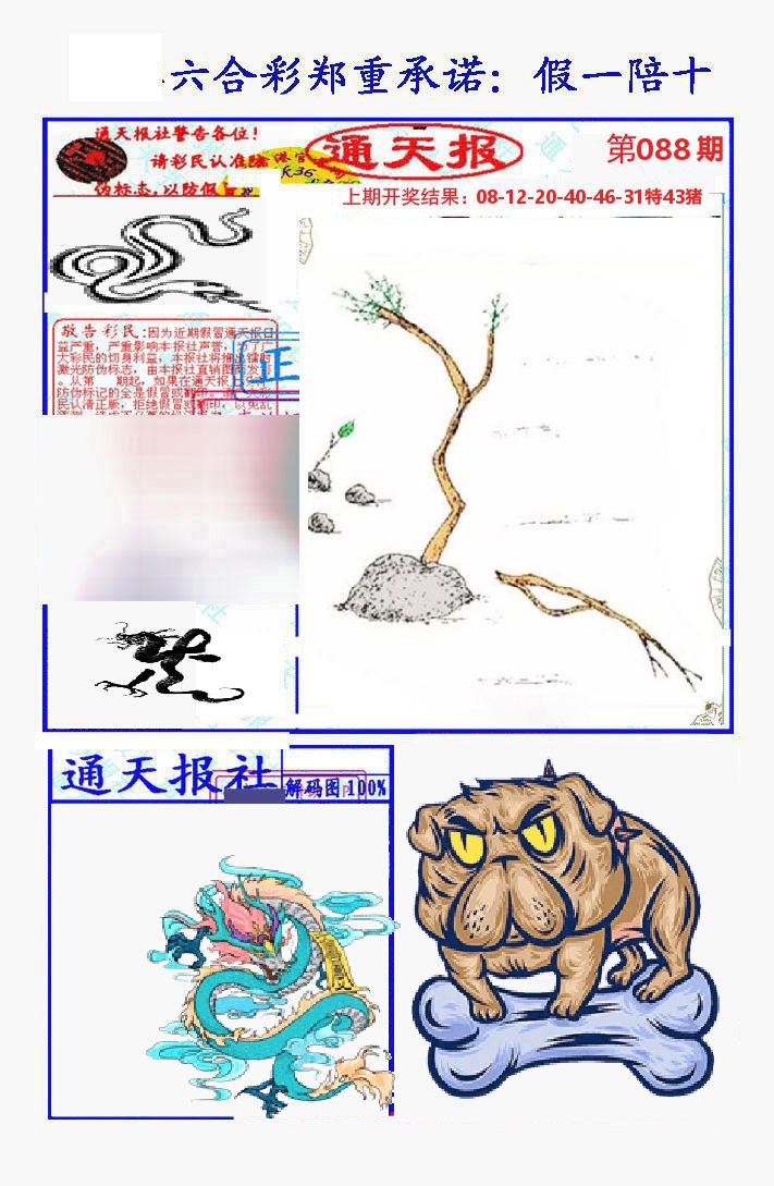 通天报 第88期