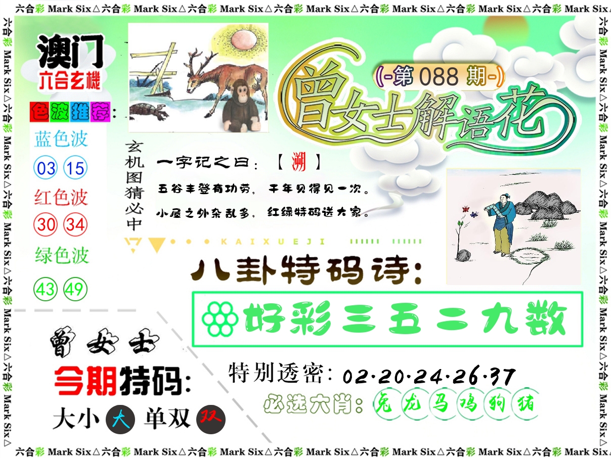 曾女士解语花 第88期