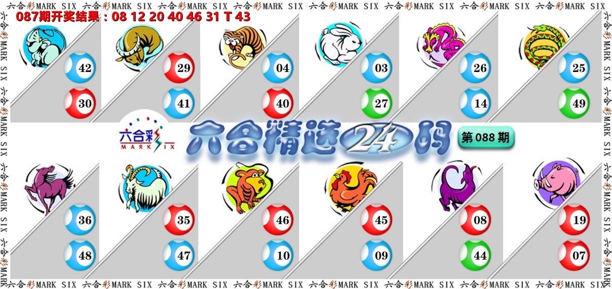 六合精选24码 第88期