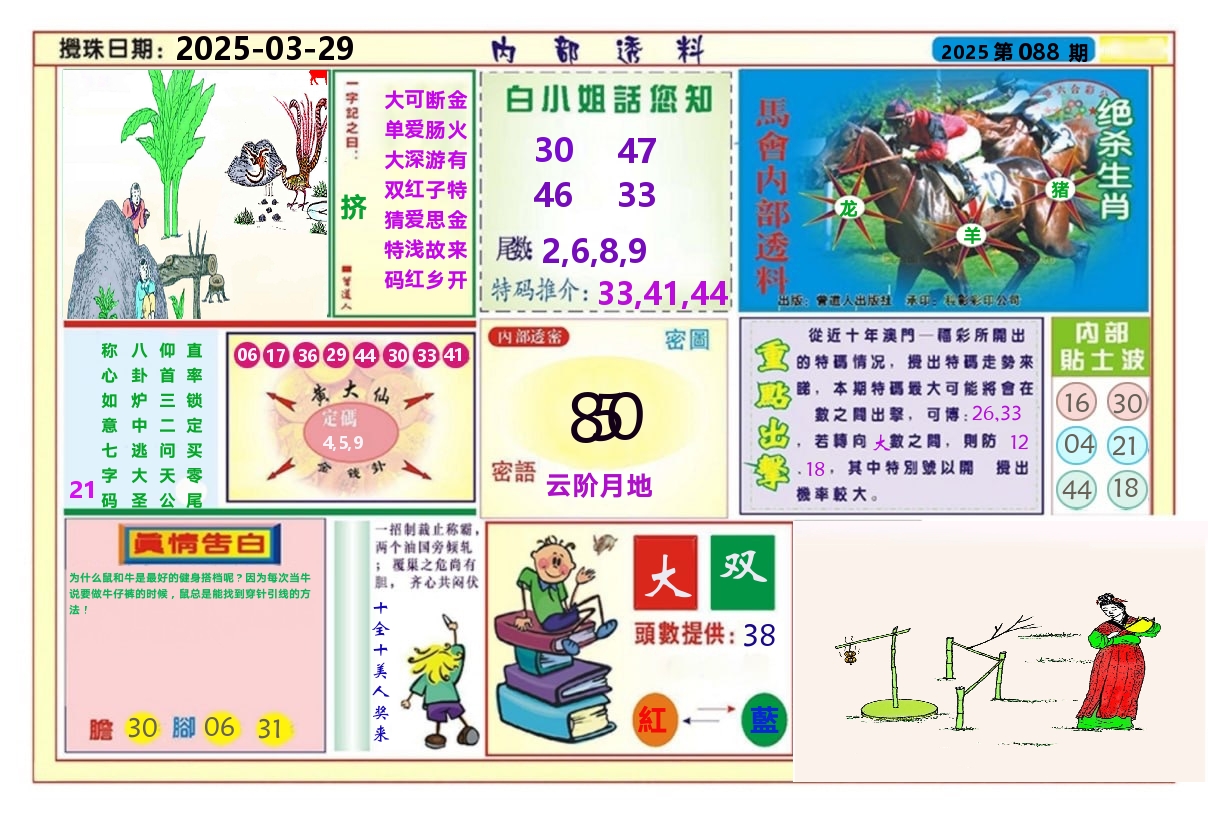 澳门内部透料A 第88期