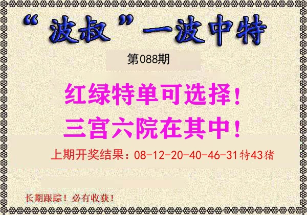 波叔中特 第88期