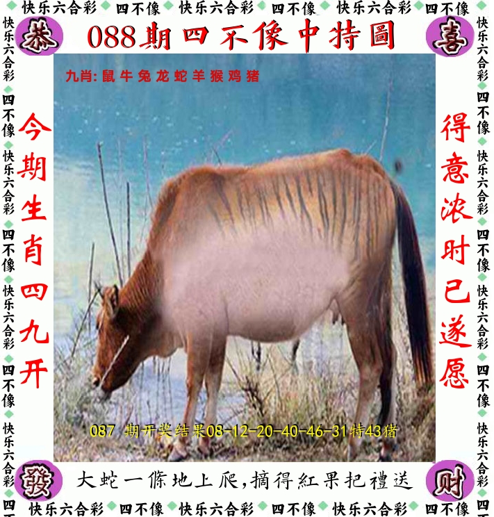 四不像 第88期